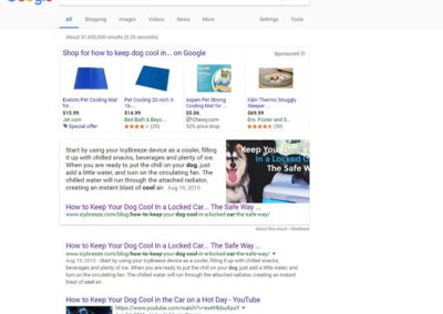 Google Search Results